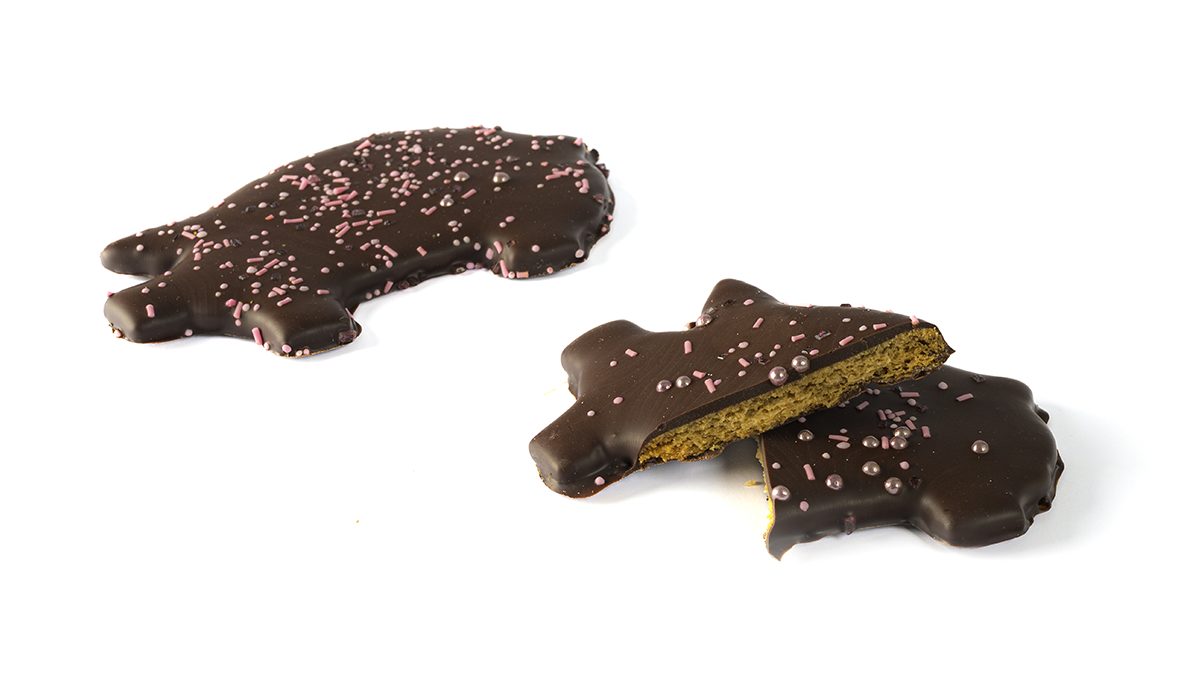 WEB_Gluecksschweinchen_Anschnitt_1200x675