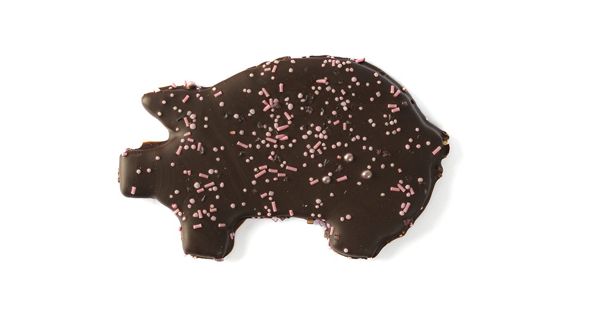 WEB_Gluecksschweinchen_oben_1200x675