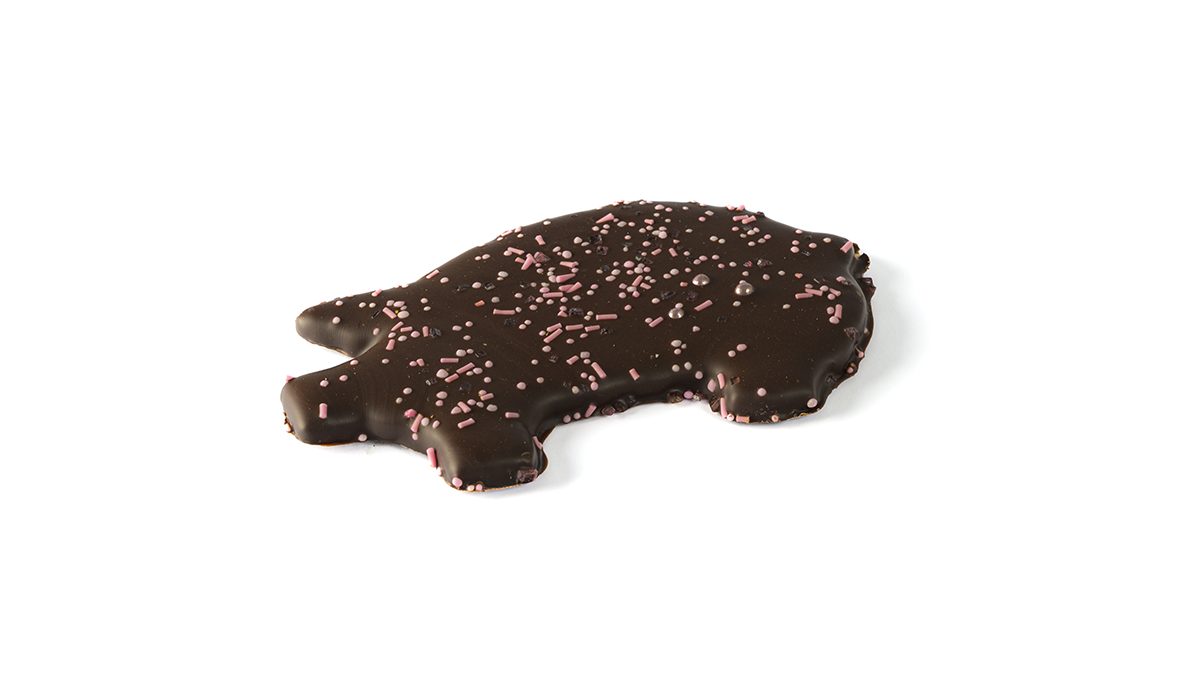 WEB_Gluecksschweinchen_schraeg_1200x675