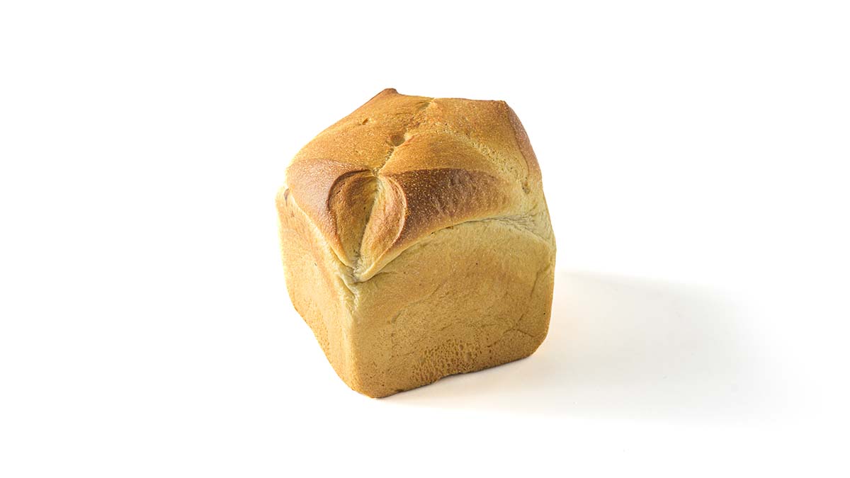 WEB_ProteinZwerg_schraeg_1200x675